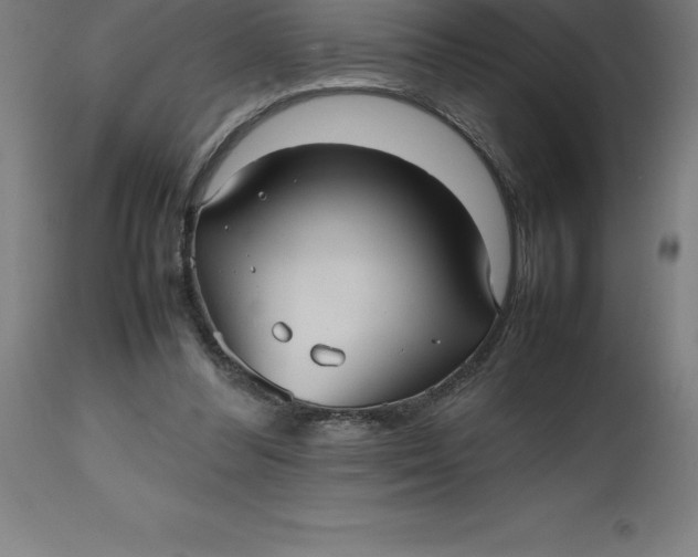 X0000112510300200909071315