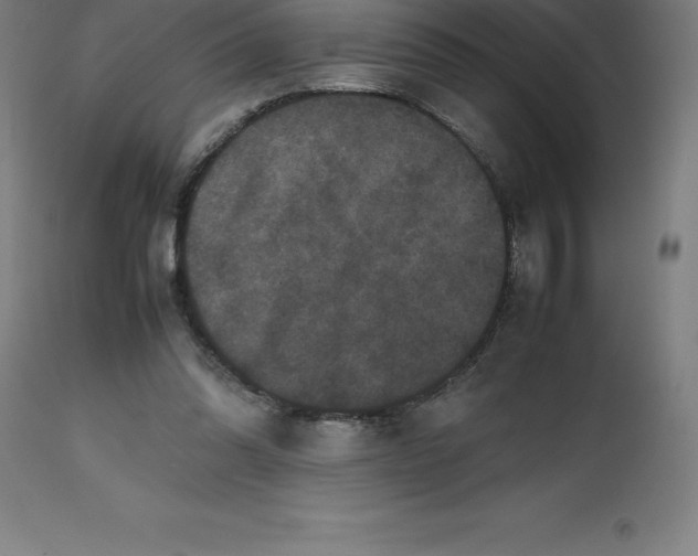 X0000112510302200909071315