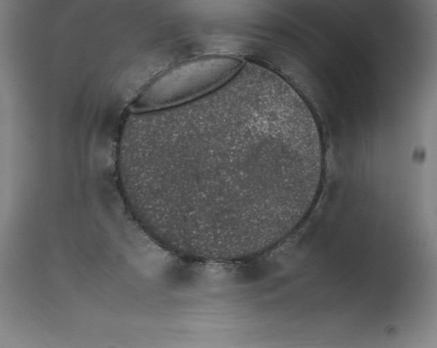 X0000112510305200909071315