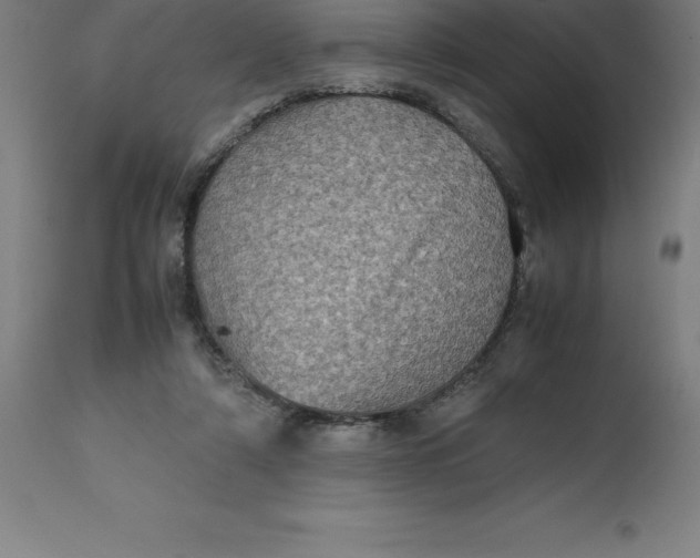 X0000112510306200909071315