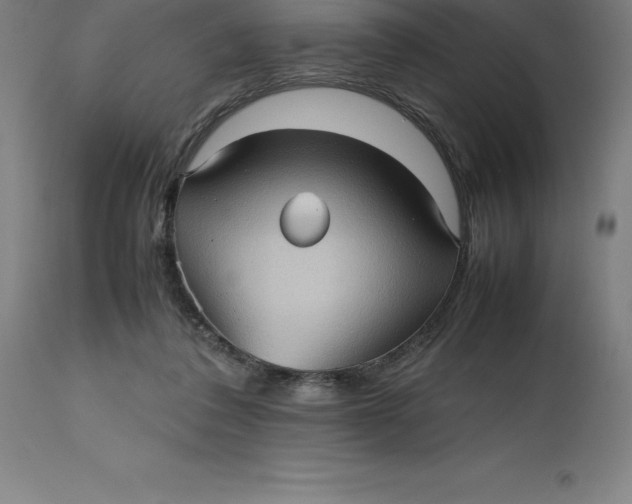 X0000112510308200909071315