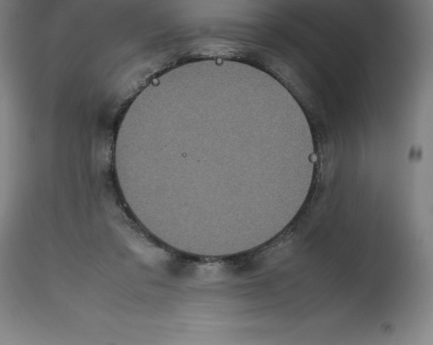 X0000112510309200909071315