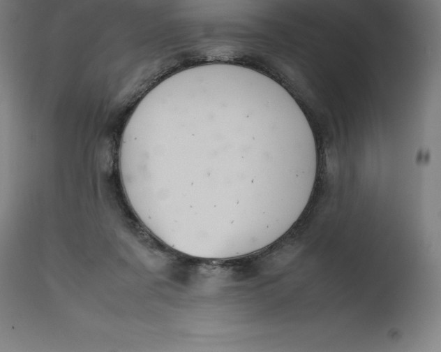 X0000112510311200909071315