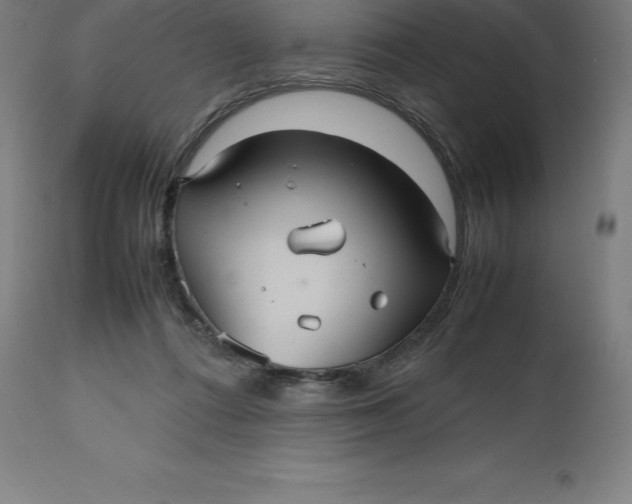 X0000112510312200909071315