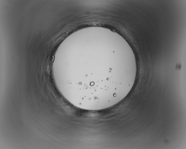 X0000112510313200909071315