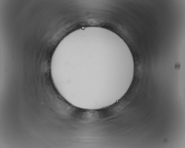 X0000112510317200909071315