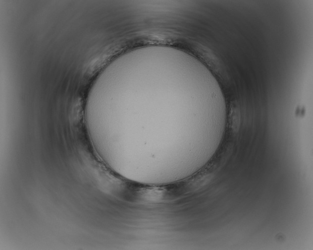 X0000112510318200909071315