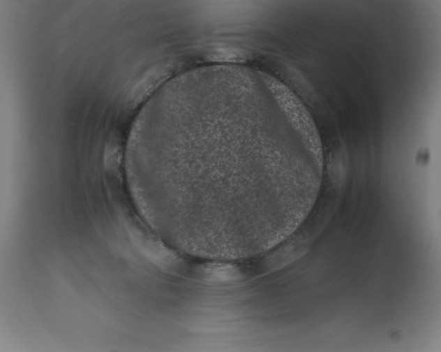 X0000112510322200909071314