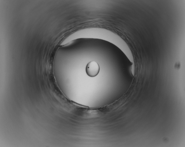 X0000112510324200909071314