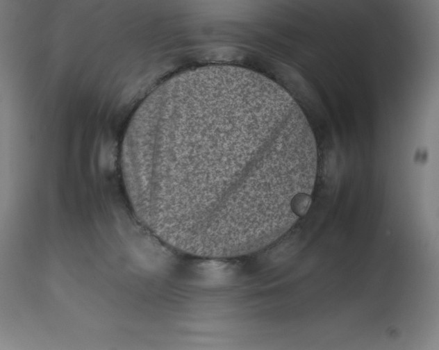 X0000112510326200909071314