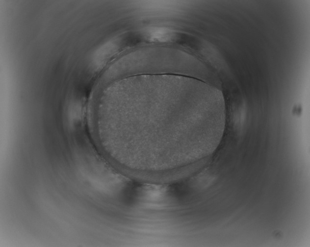 X0000112510328200909071314