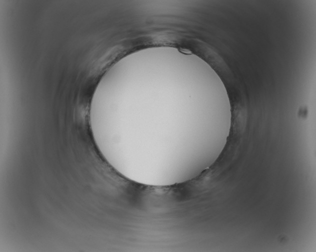 X0000112510329200909071314