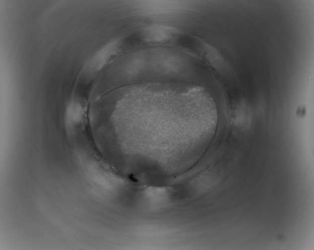 X0000112510332200909071314