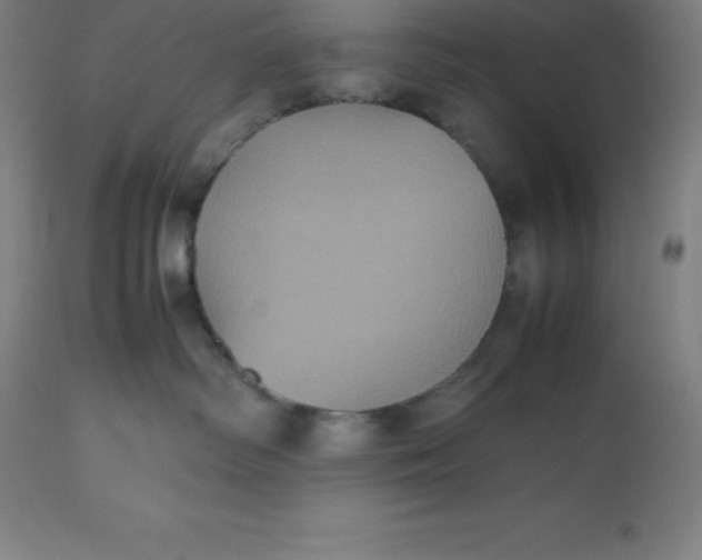 X0000112510334200909071314