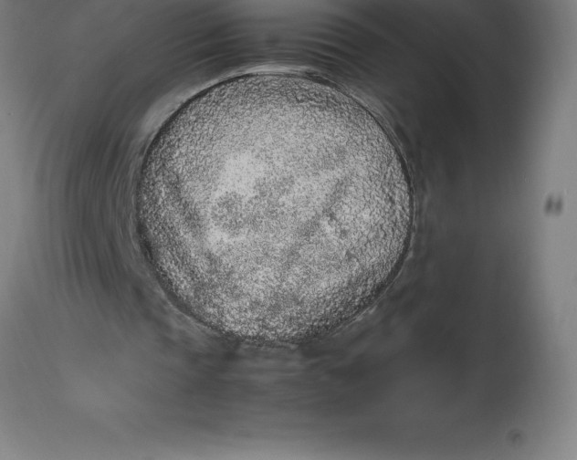 X0000112510337200909071314