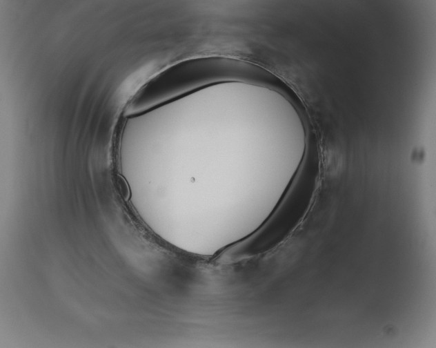 X0000112510340200909071314