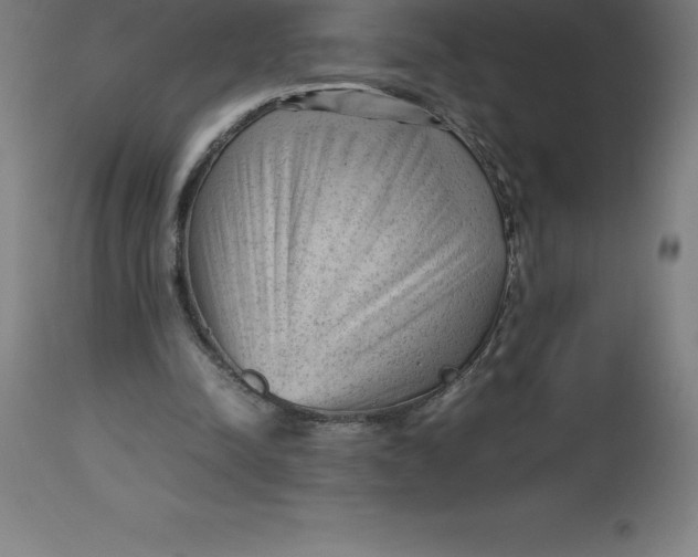 X0000112510342200909071314