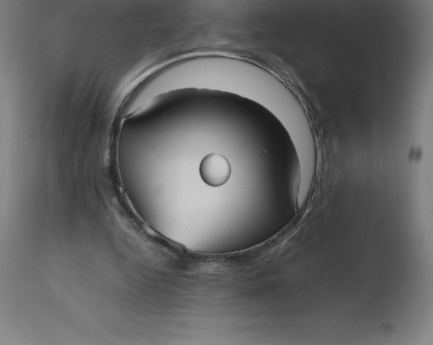 X0000112510344200909071314