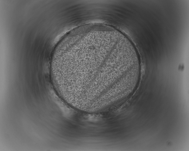 X0000112510345200909071314