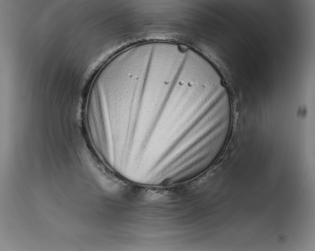 X0000112510346200909071314