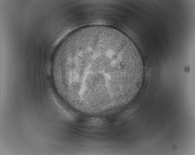 X0000112510347200909071314