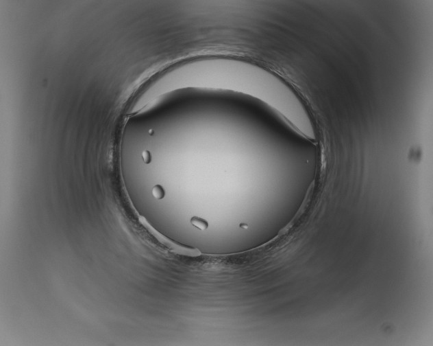 X0000112510348200909071314