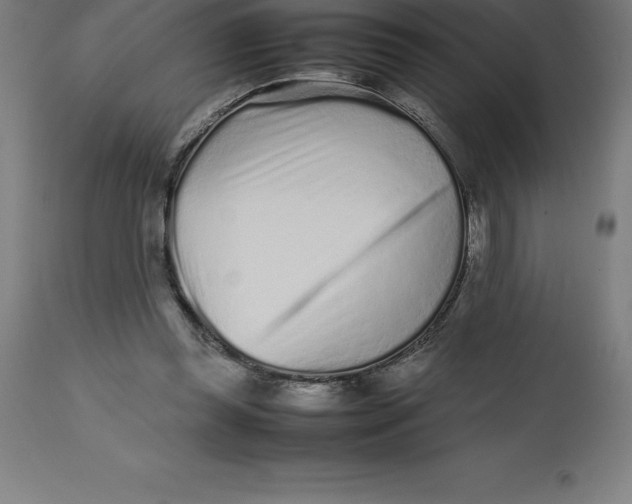 X0000112510349200909071314