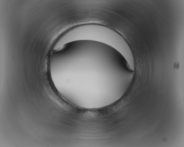 X0000112510350200909071314