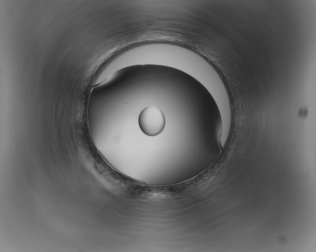 X0000112510352200909071314