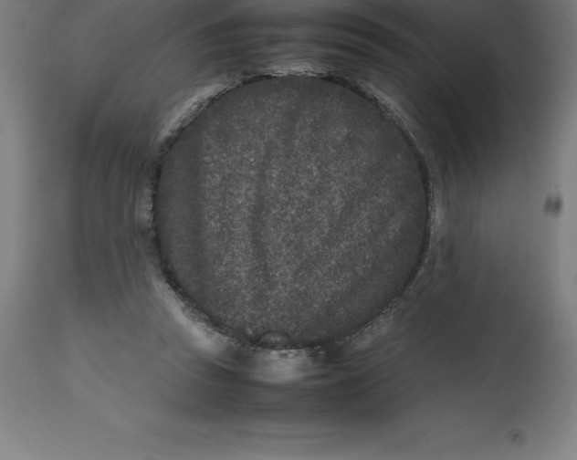 X0000112510353200909071314