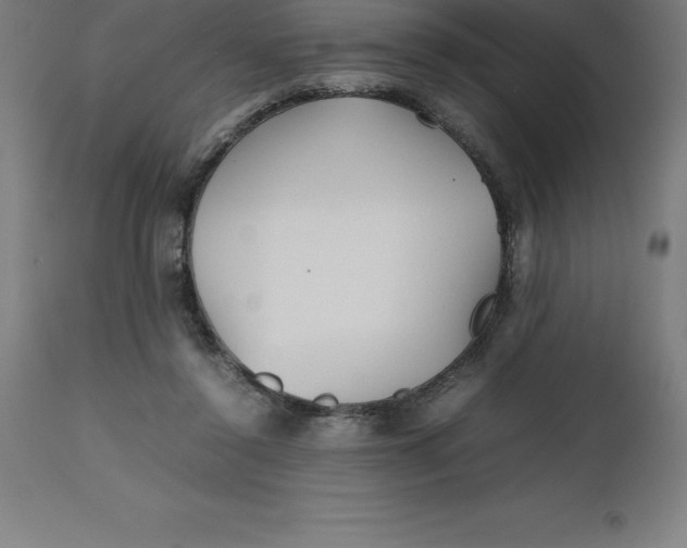 X0000112510356200909071314