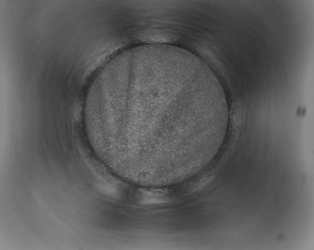 X0000112510359200909071314