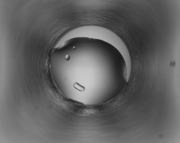 X0000112510360200909071314