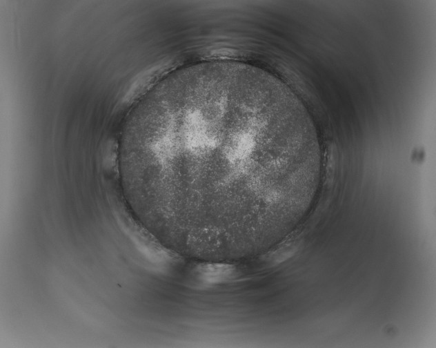 X0000112510361200909071314