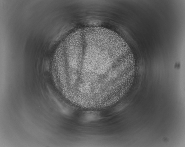 X0000112510363200909071314