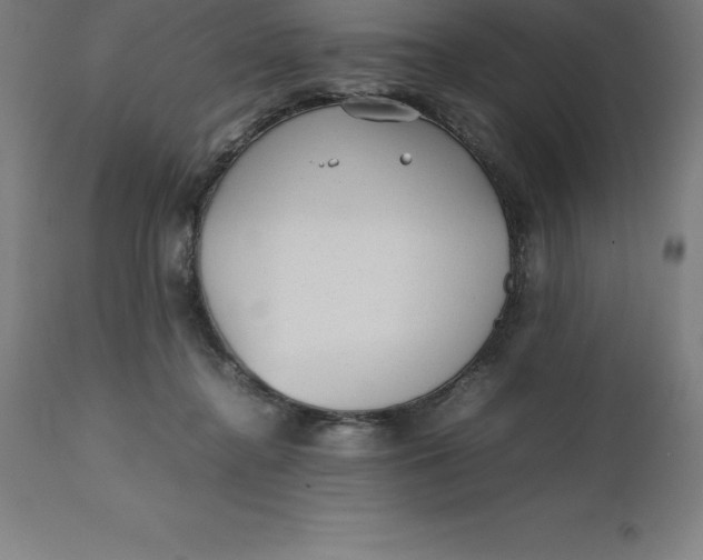 X0000112510364200909071314