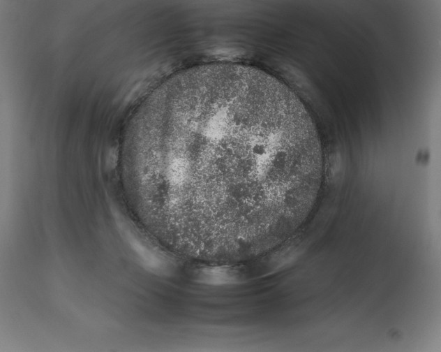 X0000112510365200909071314