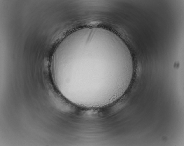 X0000112510366200909071314