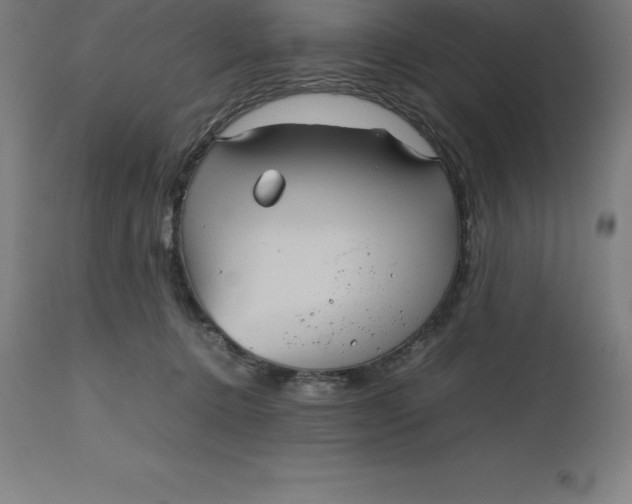 X0000112510368200909071314