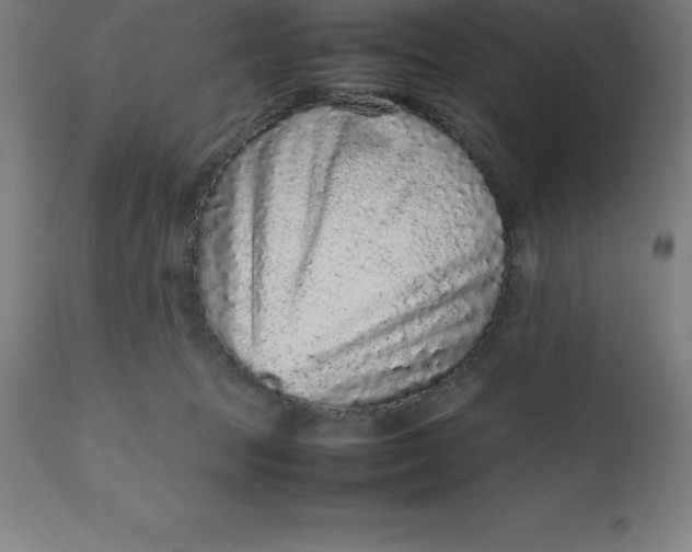 X0000112510369200909071314