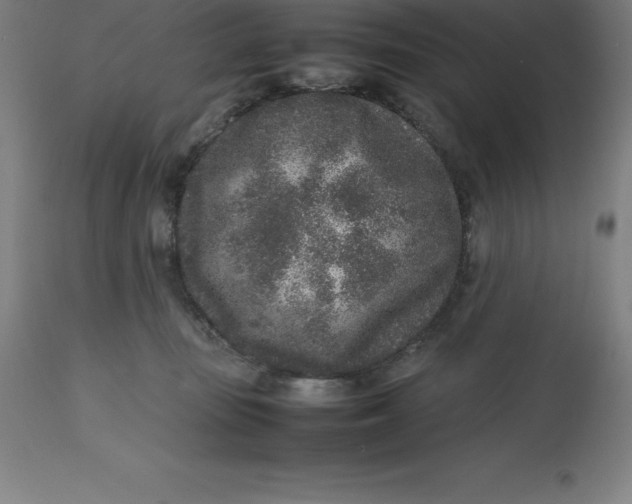 X0000112510371200909071314