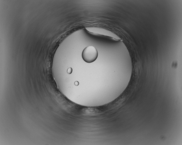 X0000112510372200909071314