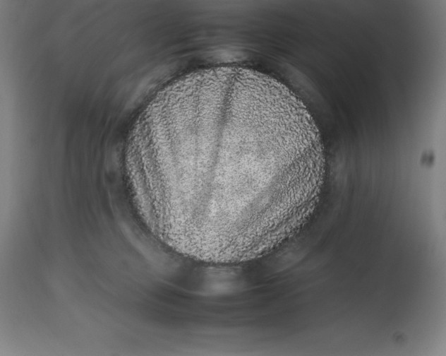 X0000112510373200909071314