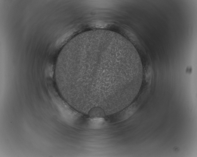 X0000112510374200909071314