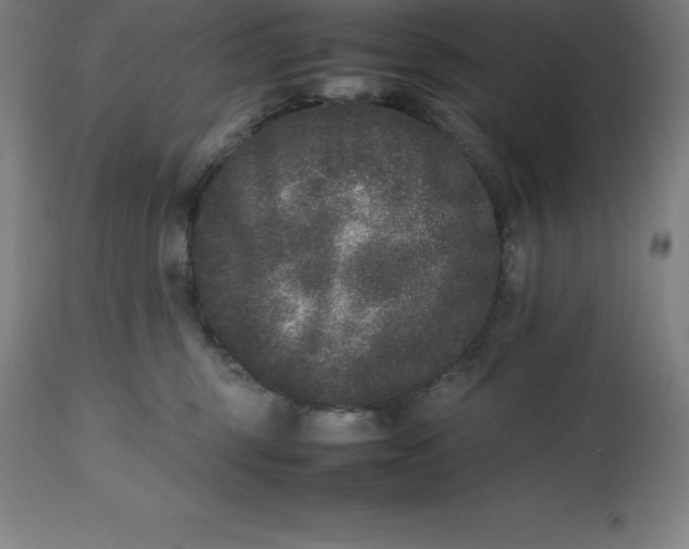 X0000112510375200909071314