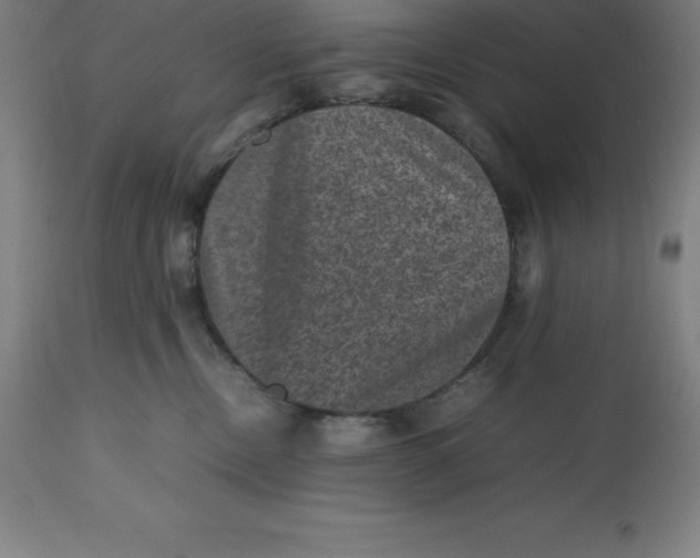 X0000112510378200909071314