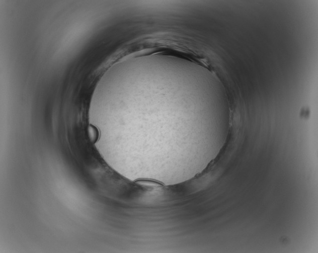 X0000112510382200909071314