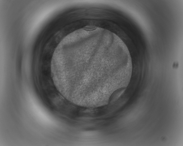 X0000112510383200909071314