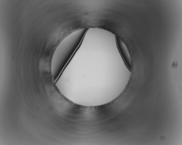 X0000112510384200909071314