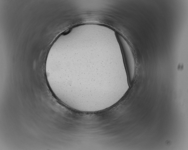 X0000112510385200909071313